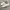 vans authentic leather white photo 1