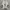 vans sk8 low photo 4
