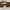 Leopard Sunglasses Kacamata hitam Jepang Tortoise pattern photo 1