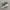 vans slip on checkerboard photo 1