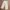 Out Of Trend Regular Straight Wide Fit Pants Celana Cargo photo 3