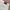 Out Of Trend Regular Straight Wide Fit Pants Celana Cargo photo 6