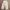 Out Of Trend Regular Straight Wide Fit Pants Celana Cargo photo 2