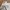 Out Of Trend Regular Straight Wide Fit Pants Celana Cargo photo 5