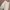 Out Of Trend Regular Straight Wide Fit Pants Celana Cargo photo 7