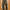 Gomme doble knee photo 4
