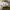 Vans Era UV Dream Blanc De Blanc Skate Shoes photo 8
