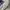 Vans Era UV Dream Blanc De Blanc Skate Shoes photo 4