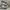 Vans Era UV Dream Blanc De Blanc Skate Shoes photo 2