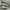 Vans Era UV Dream Blanc De Blanc Skate Shoes