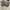 Vans Era UV Dream Blanc De Blanc Skate Shoes photo 5