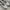 Vans Era UV Dream Blanc De Blanc Skate Shoes photo 3