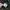 CharmBerryTic Flowers Mini Skirt rok bunga vintage coquette photo 4