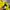 Kappa Jersey Football yellow photo 5