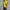 Kappa Jersey Football yellow photo 2