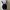 Tas Adidas Festival Mini Backpack– Originals & Ringan