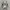 vans checkerboard pro photo 4