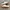 vans authentic photo 3