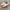 vans authentic photo 1