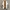 vans authentic photo 4