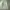 TNA OG107 Military Shirt photo 5
