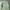 TNA OG107 Military Shirt photo 6