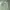 TNA OG107 Military Shirt photo 2