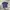 Polo Shirt East Boy photo 1