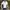 POLO SHIRT JERSEY BY DUNLOP photo 4