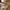 Kate Spade White Handbag / Crossbody Bag photo 3