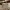Kate Spade White Handbag / Crossbody Bag photo 2