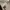 Kate Spade White Handbag / Crossbody Bag photo 1