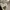Kate Spade White Handbag / Crossbody Bag