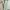 ZARA Fairy Summer dress Wanita green photo 5