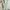 ZARA Fairy Summer dress Wanita green photo 8