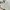 ZARA Fairy Summer dress Wanita green photo 7