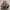 Vintage Aroana Bag MZ Huage Leather Chrome Hearts photo 2