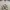 Vintage Y2K Polo Ralph Lauren Crewneck Pria Broken White photo 2
