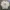 Vintage Y2K Polo Ralph Lauren Crewneck Pria Broken White