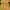outer yellow  photo 1