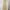 soft gold brocade evening dress photo 2