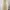 Soft Gold Brocade Evening Dress
