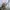 Code Graphy Utility Jacket photo 8