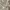 stradivarius skirts pattern  photo 2