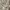 Stradivarius Skirts Pattern 