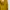 Yellow Mustard Midi Dress photo 4