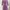 purple knitted dress photo 2