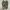vans sk8h camo photo 6