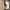 Huawei Smart Band 7 photo 1