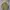 HARRINGTON GRAHAM HILL WOOL JAKET  photo 5